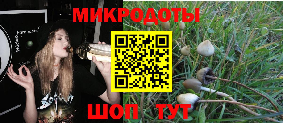 хочу наркоту  Вход с VPN  Ртищево  Псилоцибиновые грибы прущие грибы 